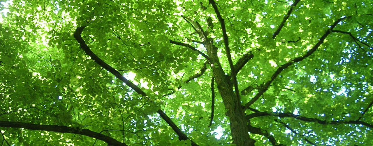 Agroverde-Naturcampo